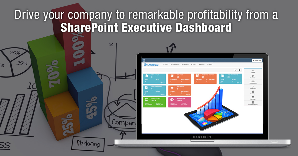 Drive Your Company to Remarkable Profitability from a SharePoint Executive Dashboard