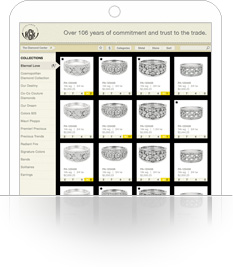 Mobile field force sales application