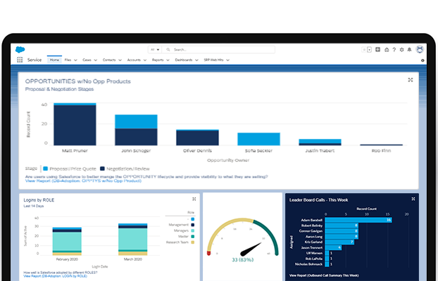 CRM Software and Integration Solutions