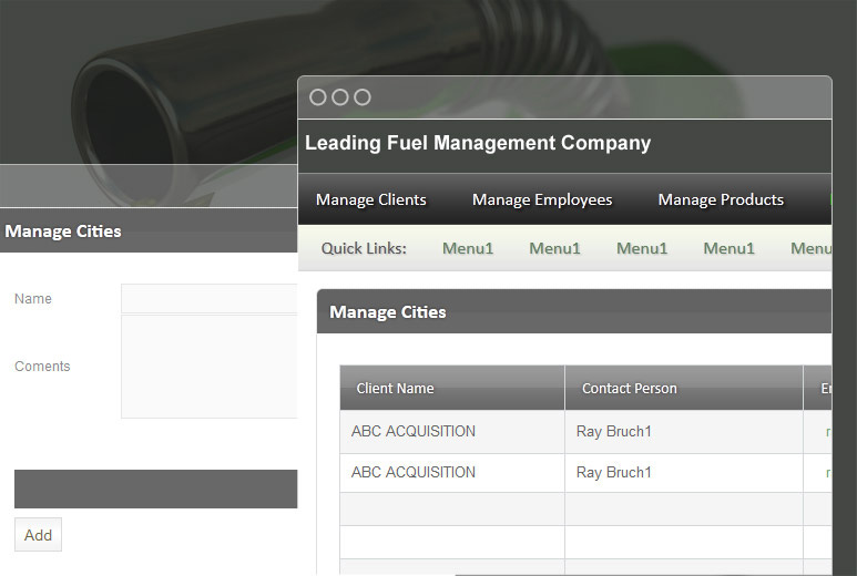 Business Intelligence Intranet System