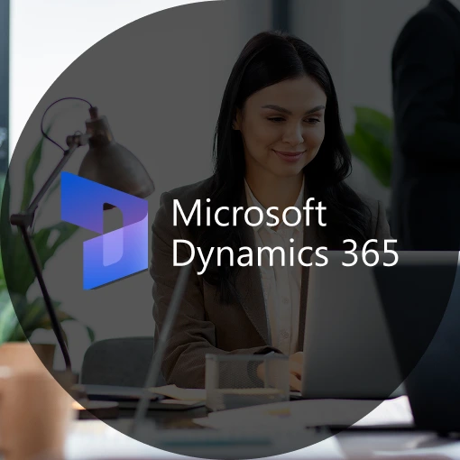 Microsoft Crm Bottom Image