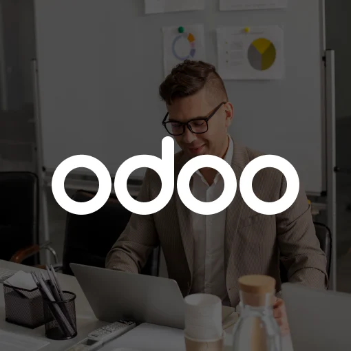Hire Odoo Partner Bottom Image