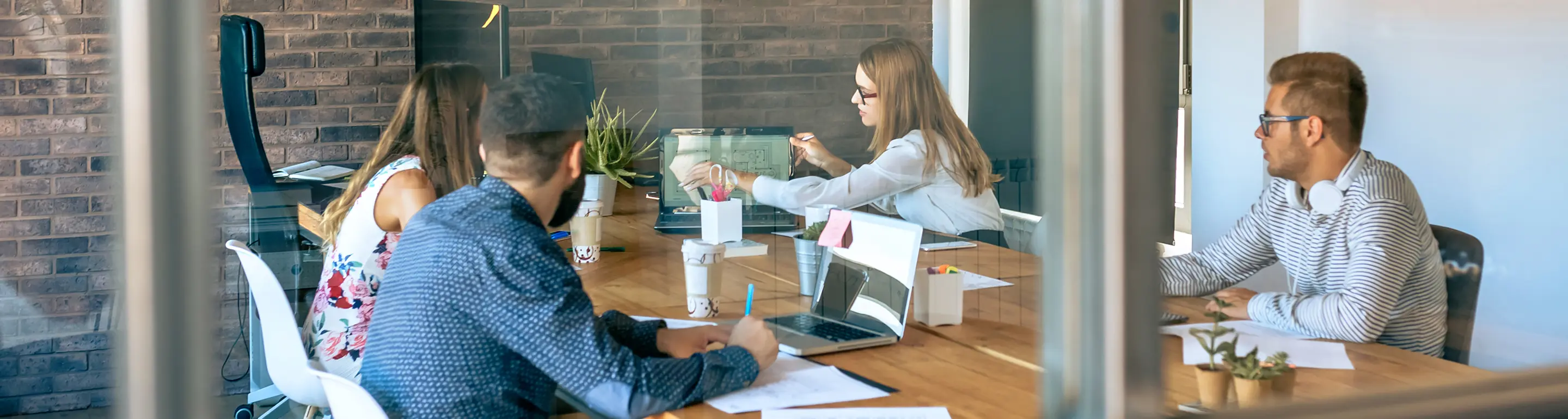 Sap Development Hero Image